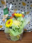 20100209花